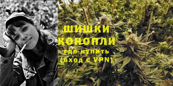 эйфоретик Пересвет