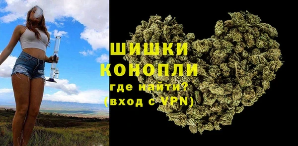 эйфоретик Пересвет